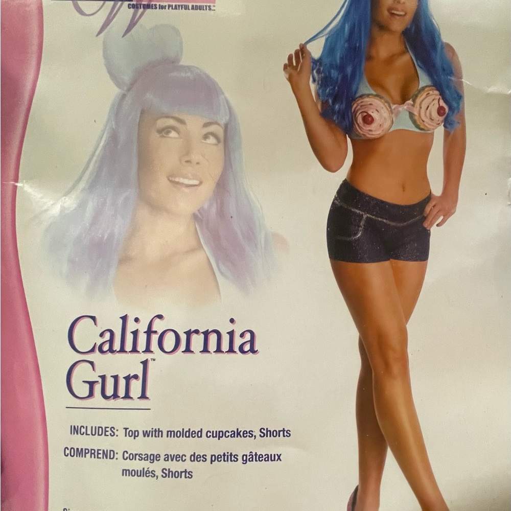 Katy Perry Costume